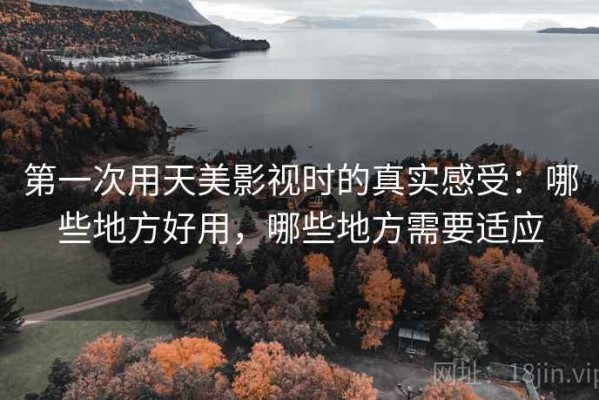 第一次用天美影视时的真实感受：哪些地方好用，哪些地方需要适应
