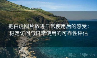 把白虎图片放进日常使用后的感受：稳定访问与日常使用的可靠性评估