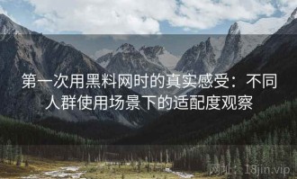 第一次用黑料网时的真实感受：不同人群使用场景下的适配度观察