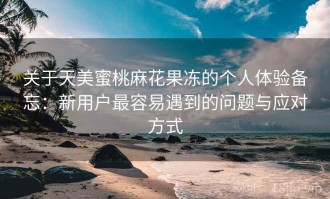 关于天美蜜桃麻花果冻的个人体验备忘：新用户最容易遇到的问题与应对方式