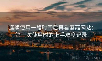 连续使用一段时间后再看蘑菇网站：第一次使用时的上手难度记录