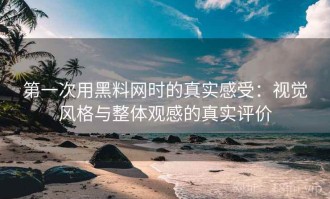 第一次用黑料网时的真实感受：视觉风格与整体观感的真实评价