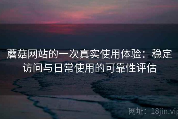 蘑菇网站的一次真实使用体验：稳定访问与日常使用的可靠性评估
