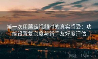 第一次用蘑菇视频时的真实感受：功能设置复杂度与新手友好度评估