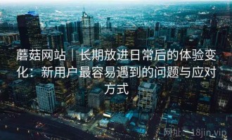 蘑菇网站｜长期放进日常后的体验变化：新用户最容易遇到的问题与应对方式