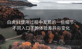 白虎91使用过程中发现的一些细节：不同入口下的体验差异与变化