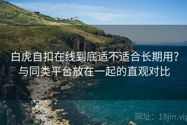 白虎自扣在线到底适不适合长期用？与同类平台放在一起的直观对比