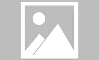 白虎91体验向记录与思考：普通用户视角下的优缺点盘点，白虎t恤