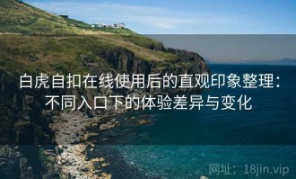 白虎自扣在线使用后的直观印象整理：不同入口下的体验差异与变化