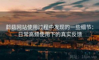 蘑菇网站使用过程中发现的一些细节：日常高频使用下的真实反馈