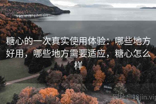 糖心的一次真实使用体验：哪些地方好用，哪些地方需要适应，糖心怎么样