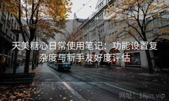 天美糖心日常使用笔记：功能设置复杂度与新手友好度评估