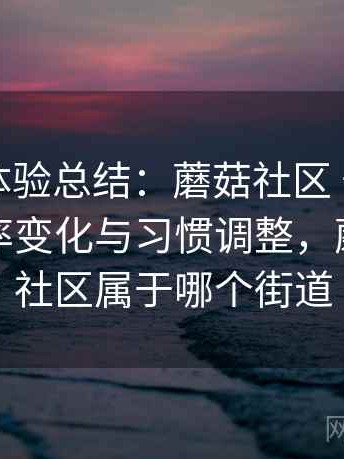 阶段性体验总结：蘑菇社区 长期使用后的效率变化与习惯调整，蘑菇青年社区属于哪个街道