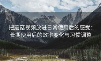 把蘑菇视频放进日常使用后的感受：长期使用后的效率变化与习惯调整