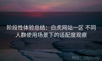 阶段性体验总结：白虎网站一区 不同人群使用场景下的适配度观察