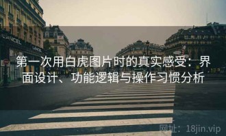 第一次用白虎图片时的真实感受：界面设计、功能逻辑与操作习惯分析