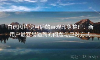 白虎图片使用后的直观印象整理：新用户最容易遇到的问题与应对方式