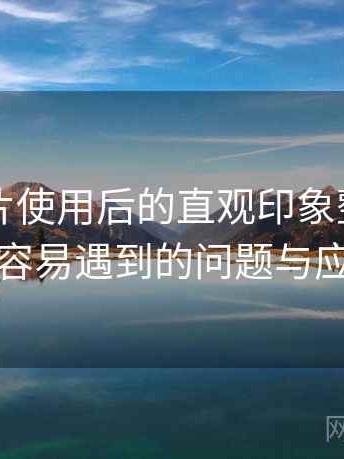 白虎图片使用后的直观印象整理：新用户最容易遇到的问题与应对方式
