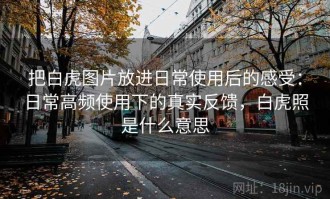 把白虎图片放进日常使用后的感受：日常高频使用下的真实反馈，白虎照是什么意思