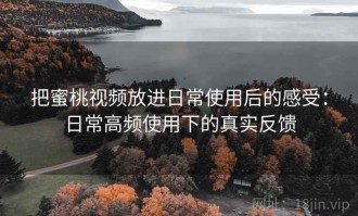 把蜜桃视频放进日常使用后的感受：日常高频使用下的真实反馈