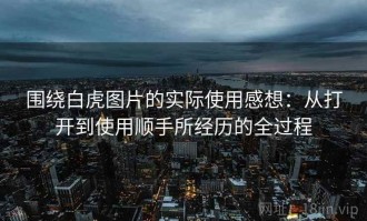围绕白虎图片的实际使用感想：从打开到使用顺手所经历的全过程