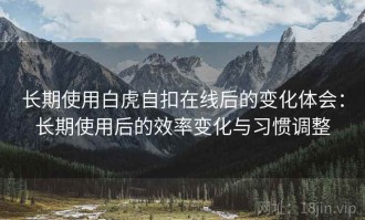 长期使用白虎自扣在线后的变化体会：长期使用后的效率变化与习惯调整