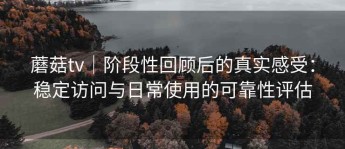 蘑菇tv｜阶段性回顾后的真实感受：稳定访问与日常使用的可靠性评估