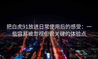 把白虎91放进日常使用后的感受：一些容易被忽视但很关键的体验点