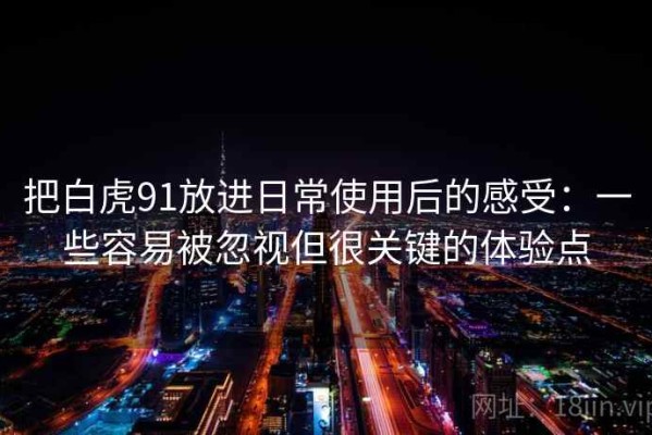 把白虎91放进日常使用后的感受：一些容易被忽视但很关键的体验点