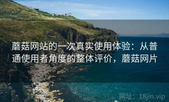蘑菇网站的一次真实使用体验：从普通使用者角度的整体评价，蘑菇网片