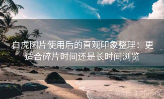 白虎图片使用后的直观印象整理：更适合碎片时间还是长时间浏览