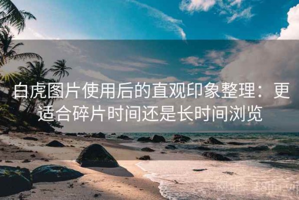 白虎图片使用后的直观印象整理：更适合碎片时间还是长时间浏览