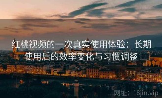 红桃视频的一次真实使用体验：长期使用后的效率变化与习惯调整