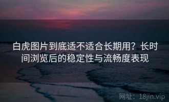 白虎图片到底适不适合长期用？长时间浏览后的稳定性与流畅度表现