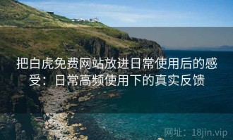 把白虎免费网站放进日常使用后的感受：日常高频使用下的真实反馈