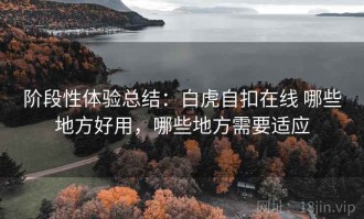 阶段性体验总结：白虎自扣在线 哪些地方好用，哪些地方需要适应