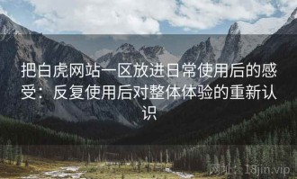 把白虎网站一区放进日常使用后的感受：反复使用后对整体体验的重新认识
