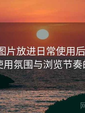 把白虎图片放进日常使用后的感受：整体使用氛围与浏览节奏的感受