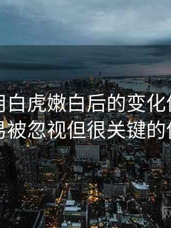 长期使用白虎嫩白后的变化体会：一些容易被忽视但很关键的体验点