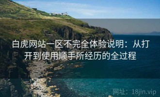 白虎网站一区不完全体验说明：从打开到使用顺手所经历的全过程
