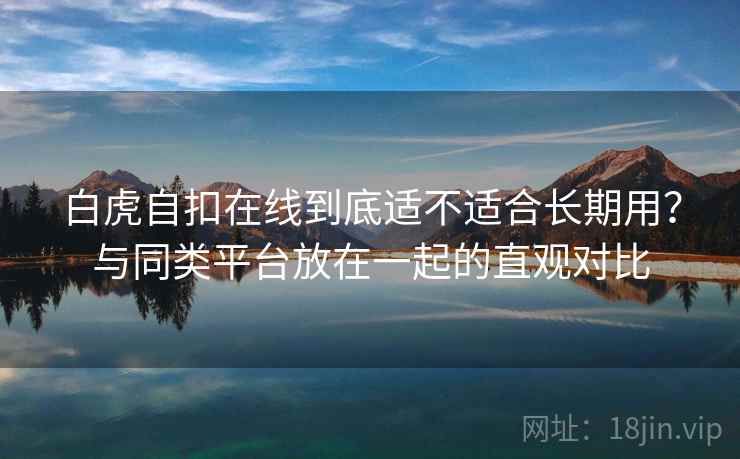 白虎自扣在线到底适不适合长期用？与同类平台放在一起的直观对比
