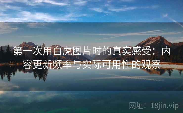第一次用白虎图片时的真实感受：内容更新频率与实际可用性的观察
