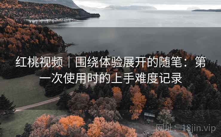 红桃视频｜围绕体验展开的随笔：第一次使用时的上手难度记录