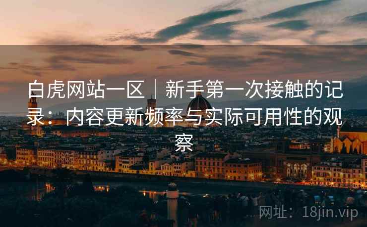 白虎网站一区|新手第一次接触的记录:内容更新频率与实际可用性的观察 白虎网站一区|新手第一次接触的记录:内容更新频率与实际可用性的观察
