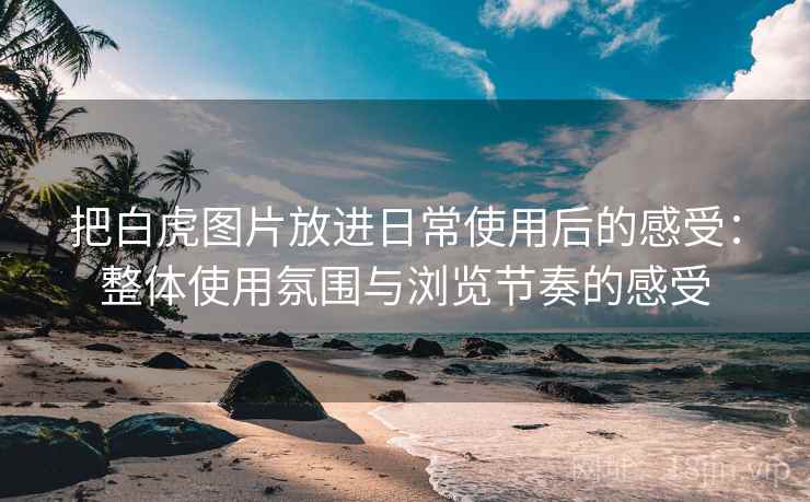 把白虎图片放进日常使用后的感受：整体使用氛围与浏览节奏的感受