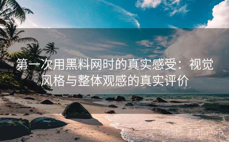 第一次用黑料网时的真实感受:视觉风格与整体观感的真实评价 第一次用黑料网时的真实感受:视觉风格与整体观感的真实评价