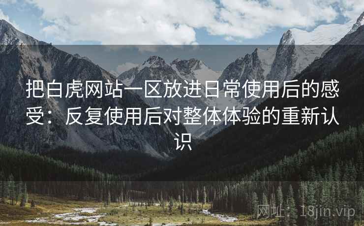 把白虎网站一区放进日常使用后的感受：反复使用后对整体体验的重新认识