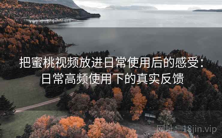 把蜜桃视频放进日常使用后的感受：日常高频使用下的真实反馈