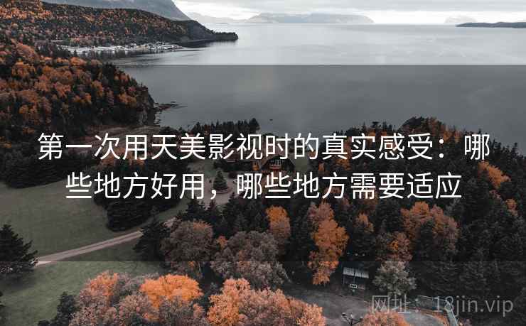 第一次用天美影视时的真实感受：哪些地方好用，哪些地方需要适应