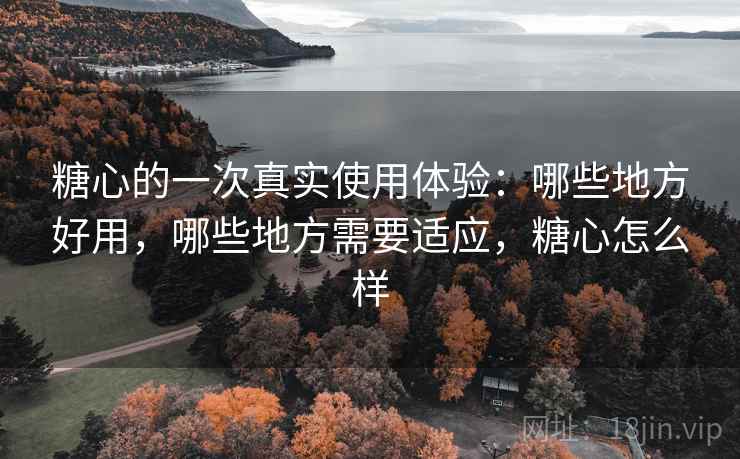 糖心的一次真实使用体验:哪些地方好用,哪些地方需要适应,糖心怎么样 糖心的一次真实使用体验:哪些地方好用,哪些地方需要适应,糖心怎么样